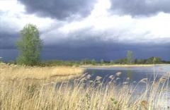 Etang de Beauregard